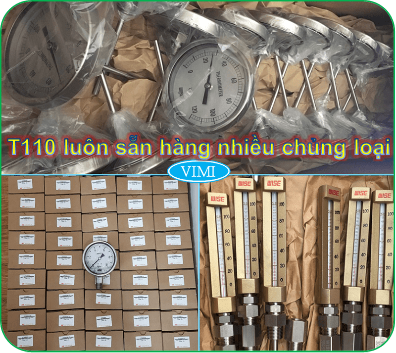 Đồng hồ đo nhiệt độ T110 9
