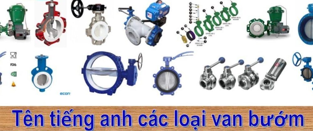 tên tiếng anh của các loại butterfly valve khác