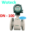 đồng hồ đo nước woteck dn100 8