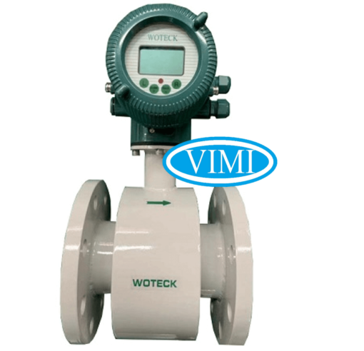 đồng hồ nước woteck dn150 2