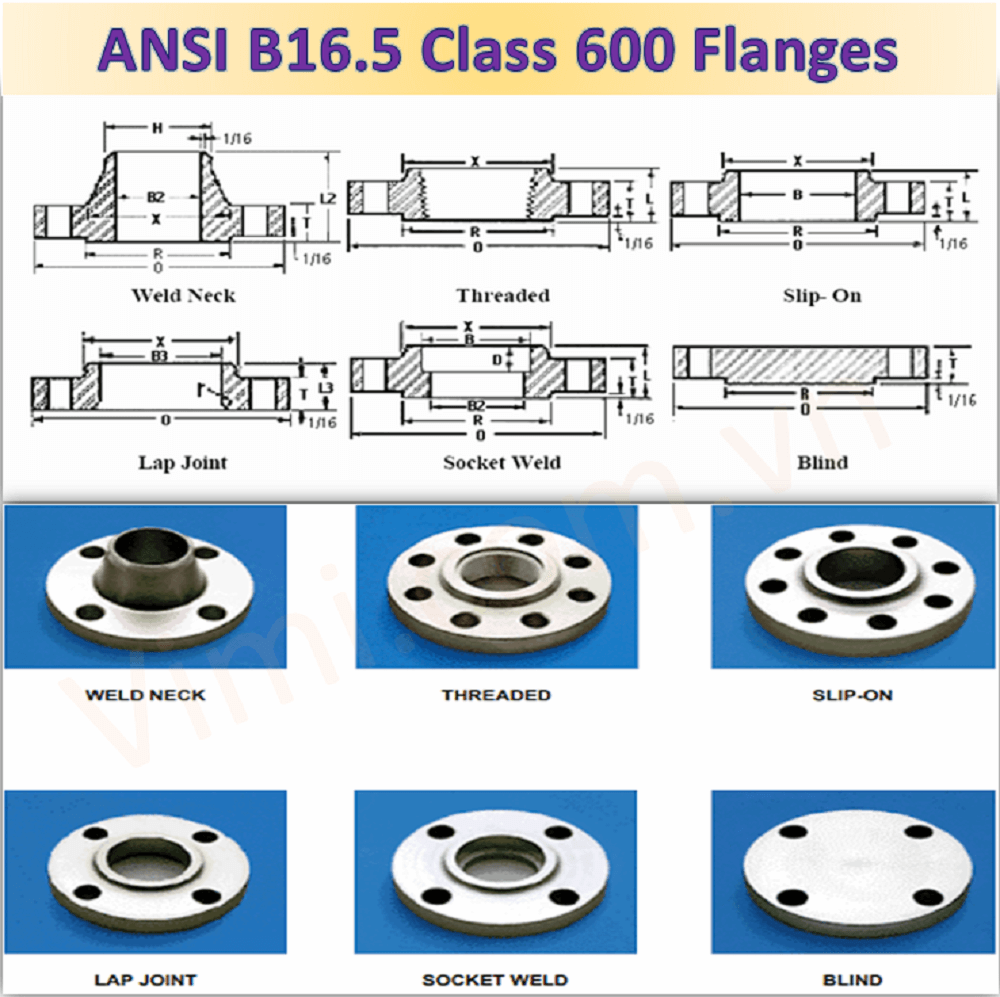 Các chủng loại mặt bích ansi 600LB