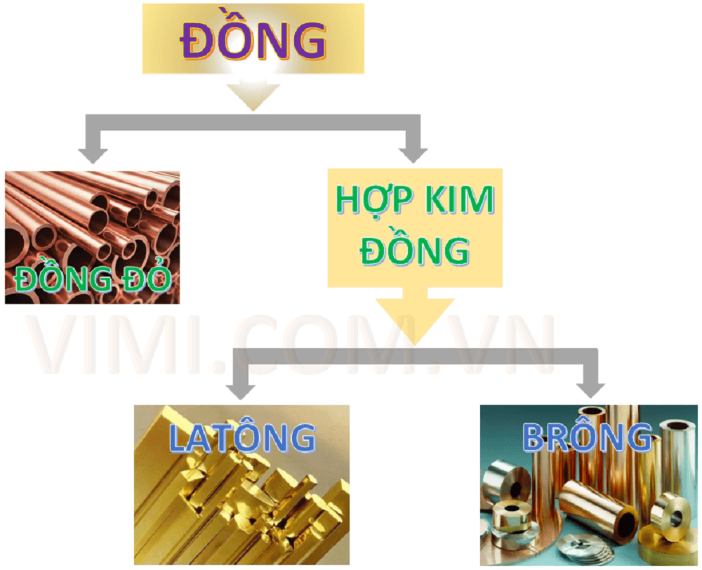 phân loại đồng