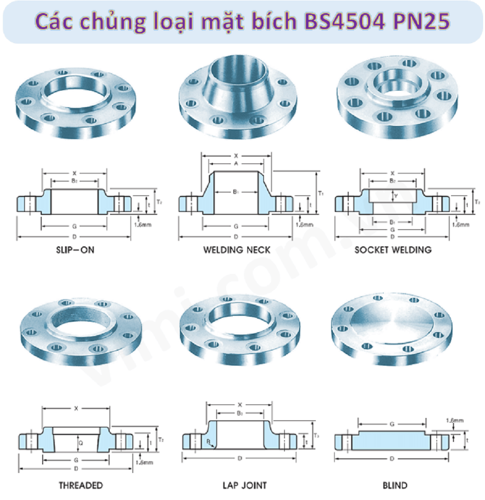 chủng loại mặt bích BS Pn25