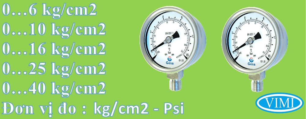Đồng hồ đo áp suất gesa mặt 100mm 2