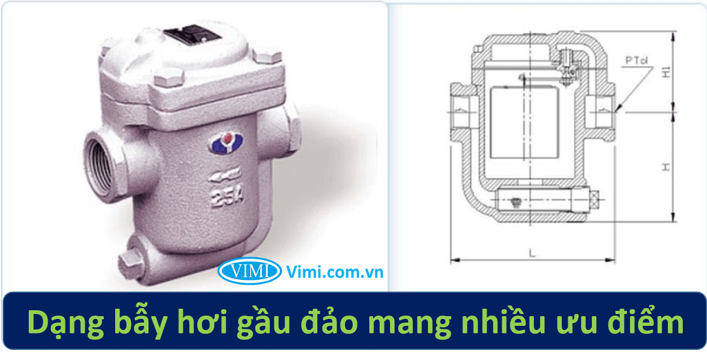 Bẫy hơi gầu đảo yoo youn 2