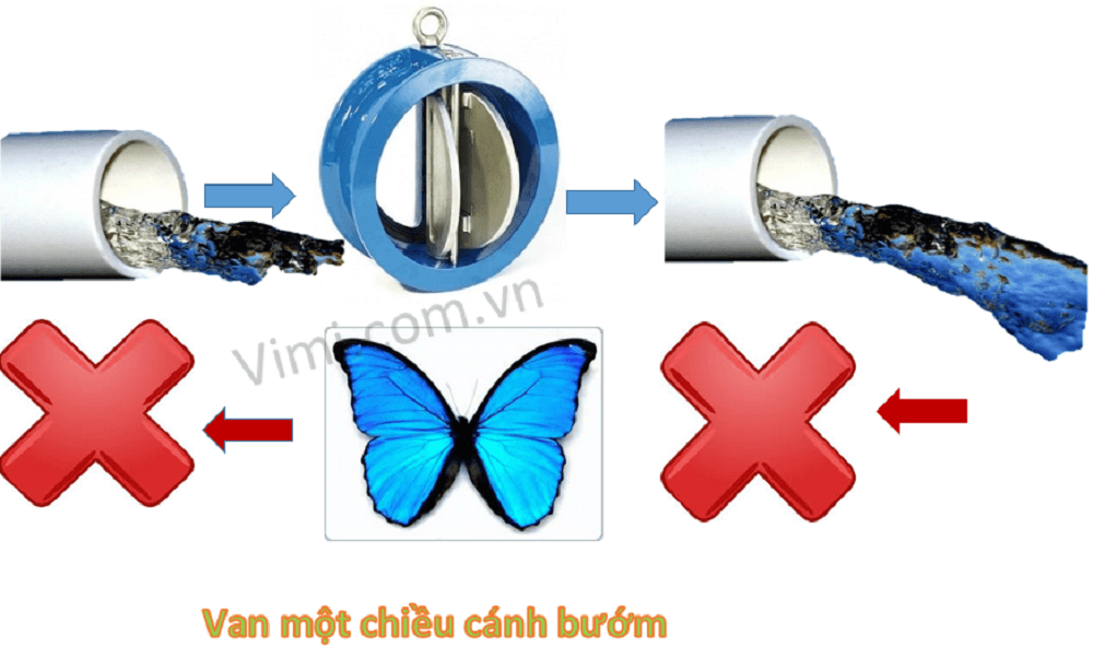 van 1 chiều cánh bướm 05