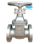 Van cổng ty chìm JOEUN 5