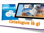 Catalogue là gì