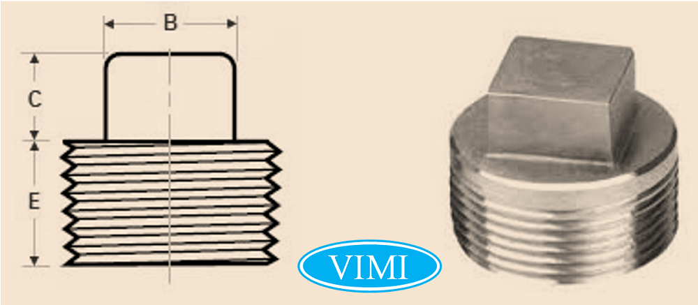 Nút bịt ren inox 316 Đầu bịt ren inox 316 04