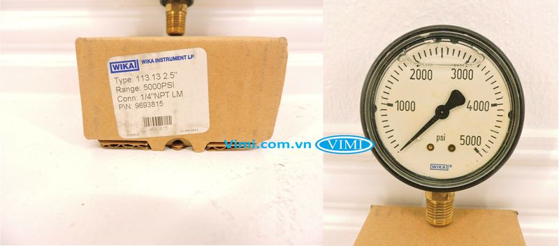 Đồng hồ áp suất Wika 113.13 - 4