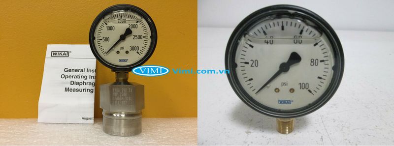 Đồng hồ áp suất Wika 113.13 - 8