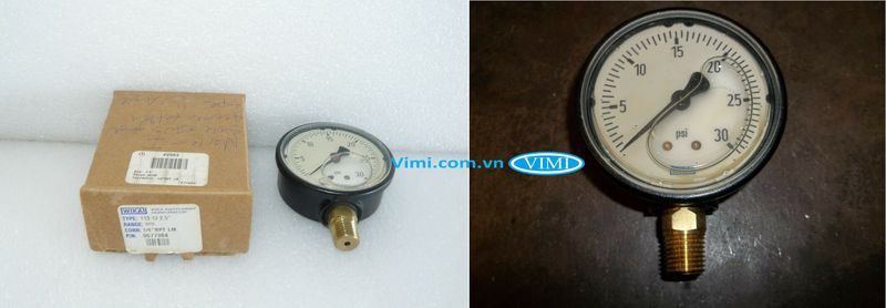 Đồng hồ áp suất Wika 113.13 - 7