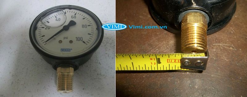 Đồng hồ áp suất Wika 113.13 - 3