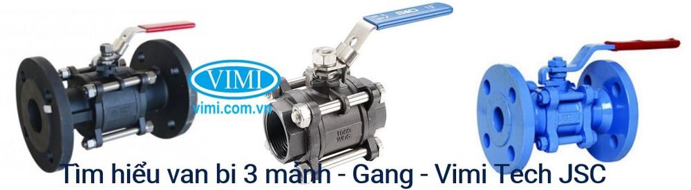 van bi 3 mảnh gang