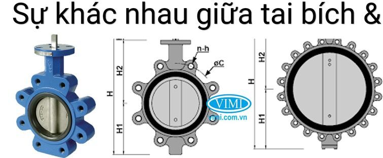 van bướm tai bích rút gọn và toàn phần