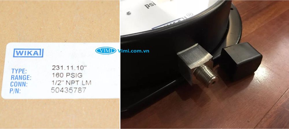 Đồng hồ áp suất đồng Wika 231.11 - 6