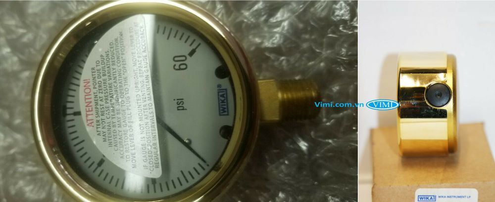 Đồng hồ áp suất đồng Wika 213.40 - 6