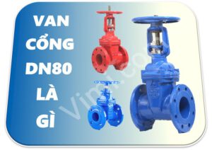 van cổng dn80