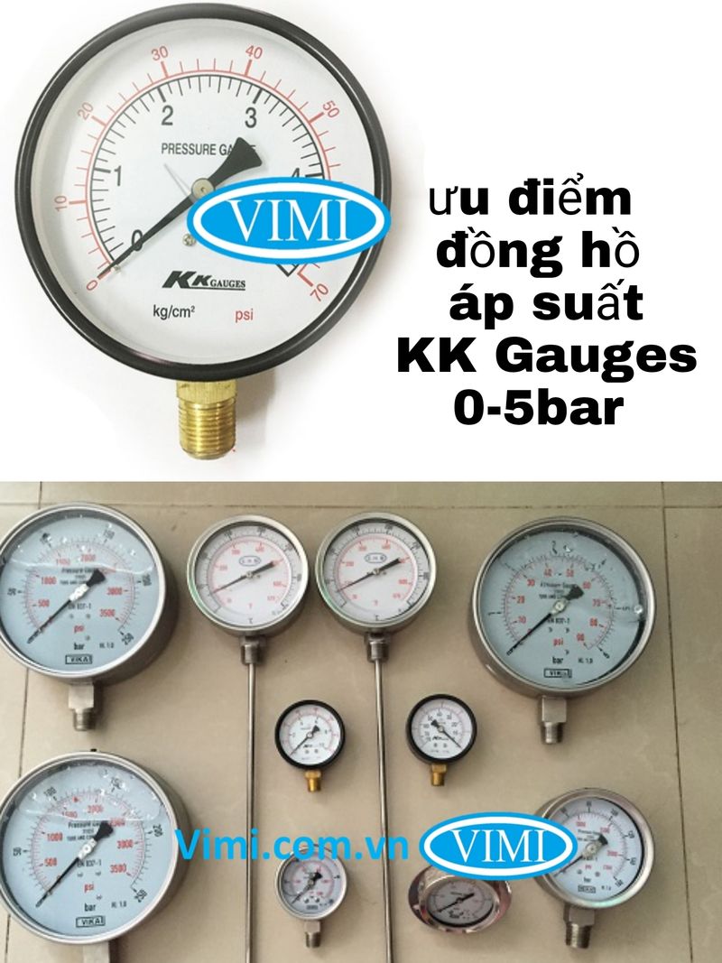 Đồng hồ áp suất KK Gauges_vimi