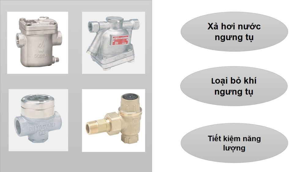 Bẫy hơi Miyawaki 3