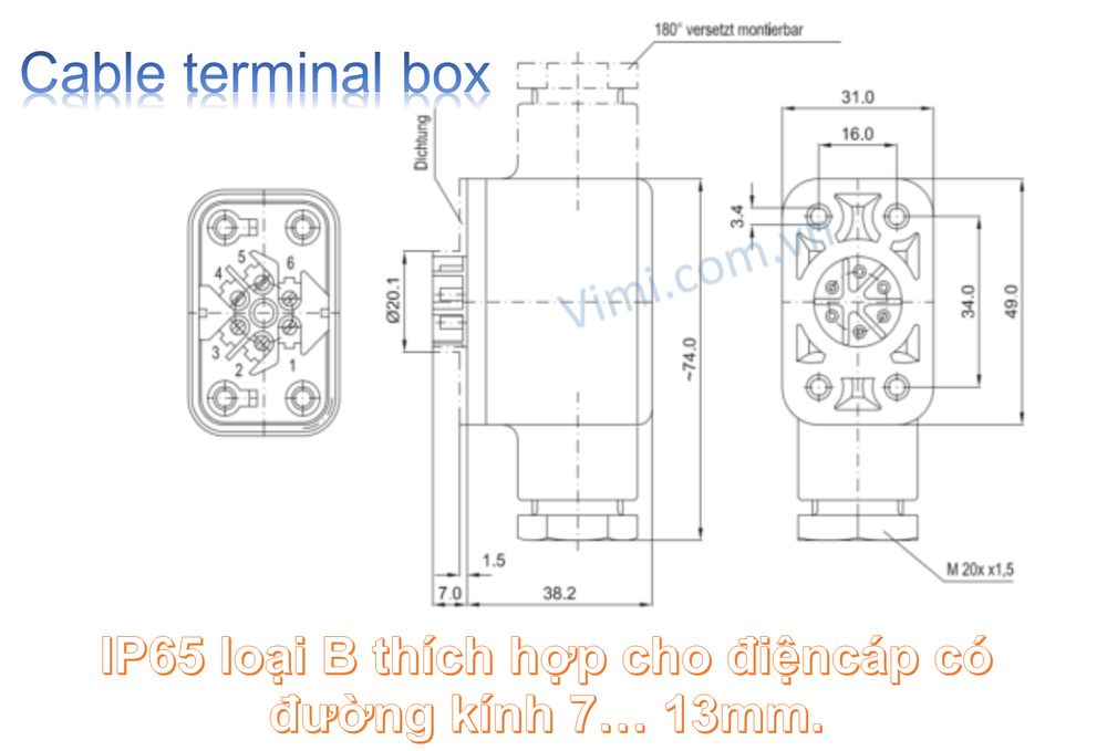 Đồng hồ áp suất Badotherm BDT30 3