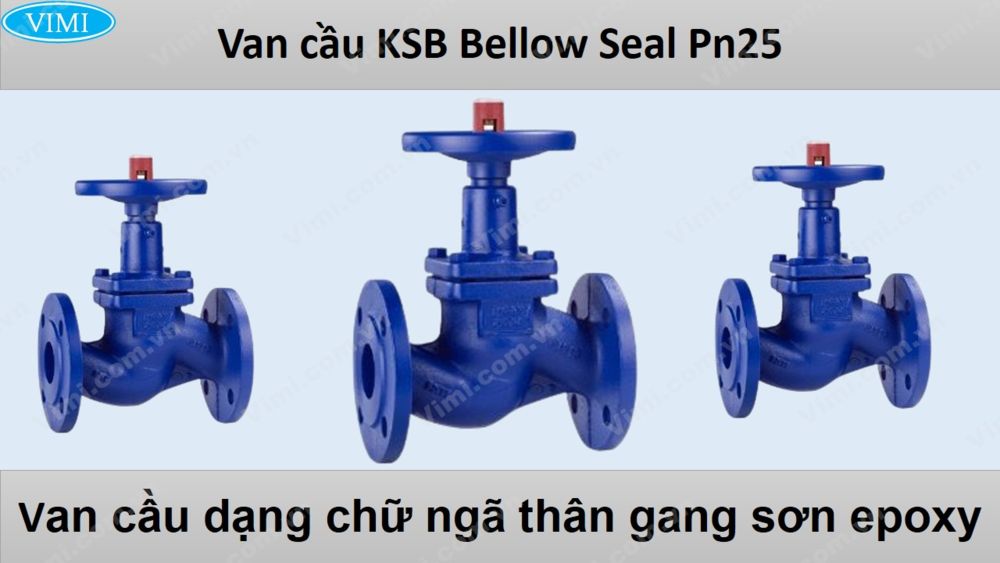 Van cầu KSB Bellow Seal Pn25 1
