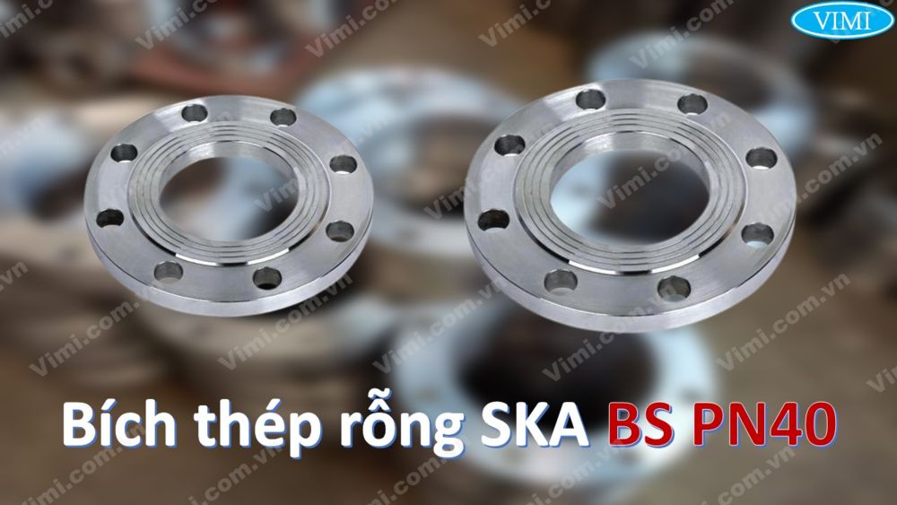 Bích rỗng SKA BS PN40 Bích rỗng SKA BS PN40