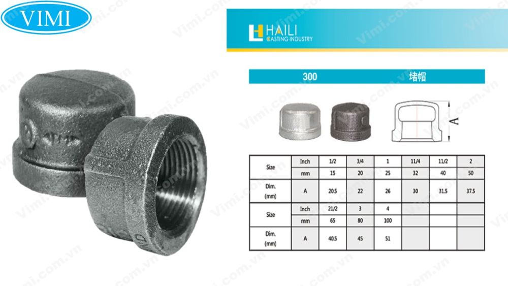 Nắp bịt thép ren trong Shan Xi 2