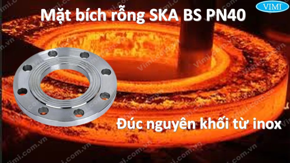 Bích rỗng SKA BS PN40 Bích rỗng SKA BS PN40 2