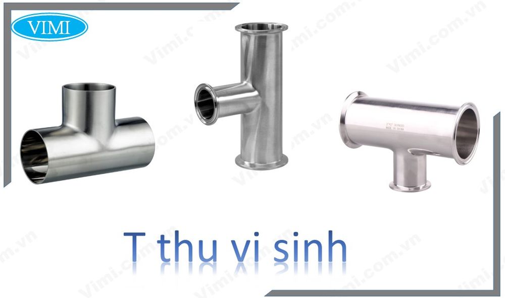 T thu vi sinh T thu vi sinh