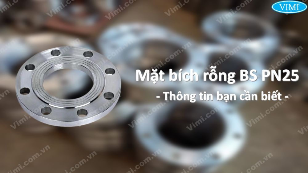 Bích Rỗng Ska Bs Pn25 ChÍnh HÃng Giá Rẻ No1 2294