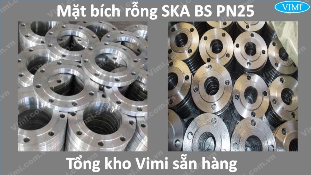 Bích rỗng SKA BS PN25 3