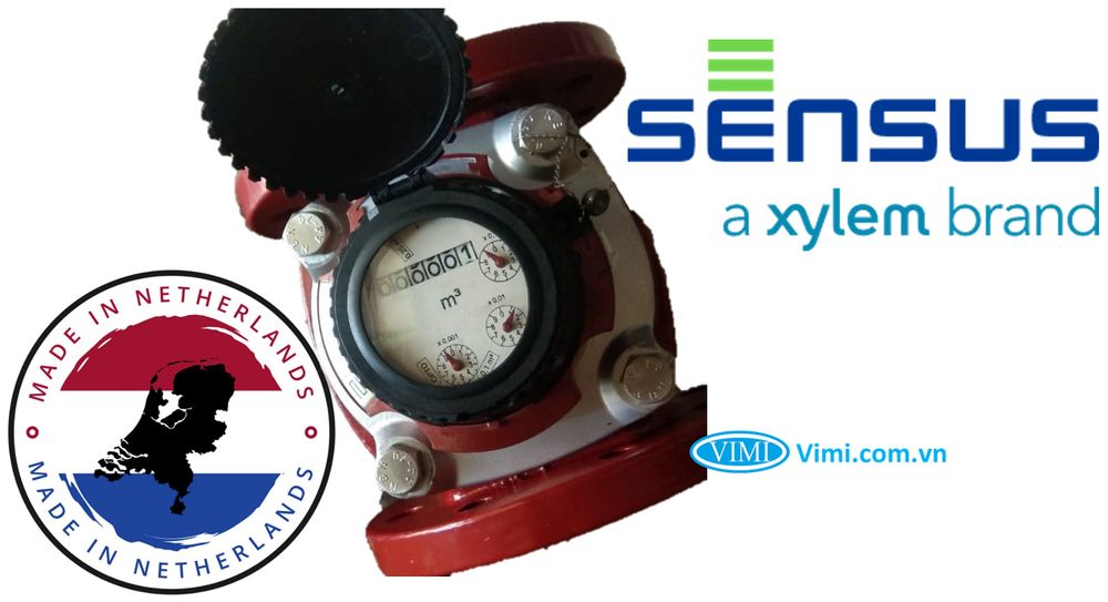 Đồng hồ nước nóng Sensus - 1