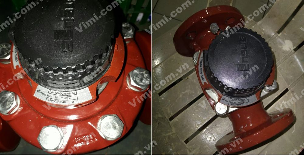 Đồng hồ nước nóng Sensus - 6