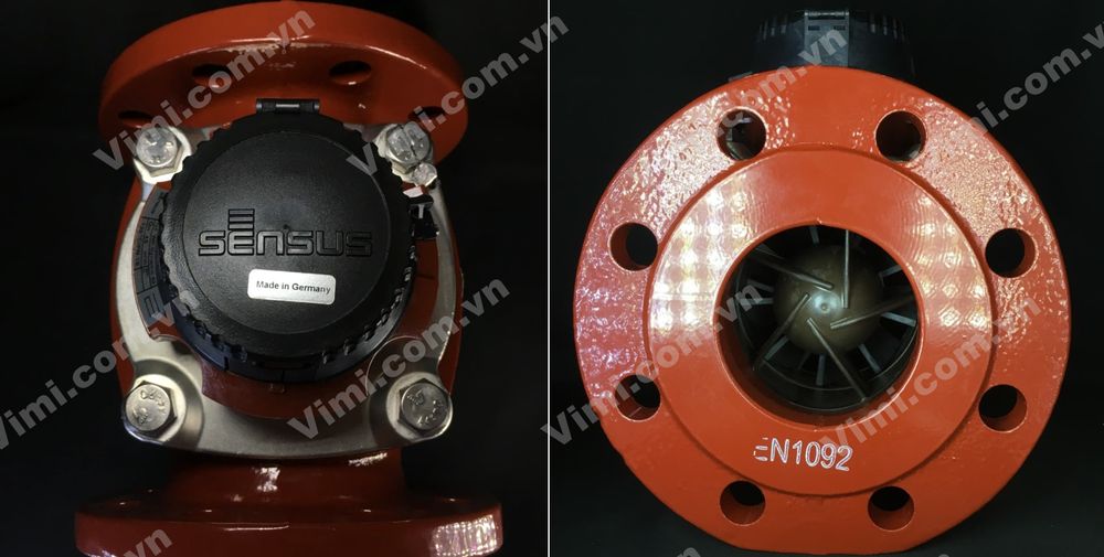 Đồng hồ nước nóng Sensus - 7