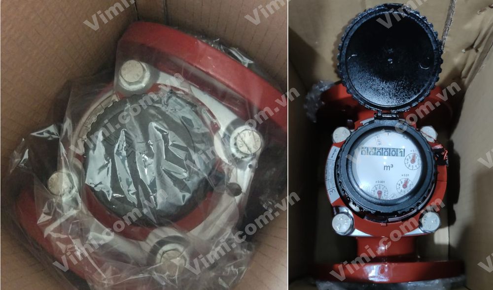 Đồng hồ nước nóng Sensus - 8