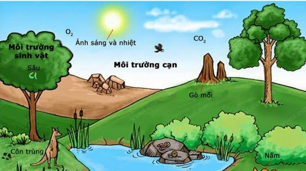 Nhiệt độ không khí là gì?