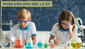 phan ung hoa hoc la gi vimi.com .vn