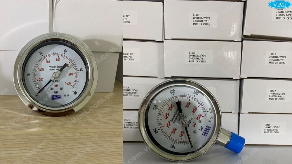 Đồng hồ áp suất Italy inox Đồng hồ áp suất Italy chân inox - 4