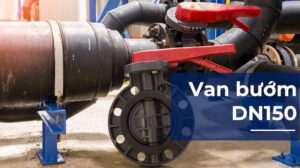 van bướm dn150