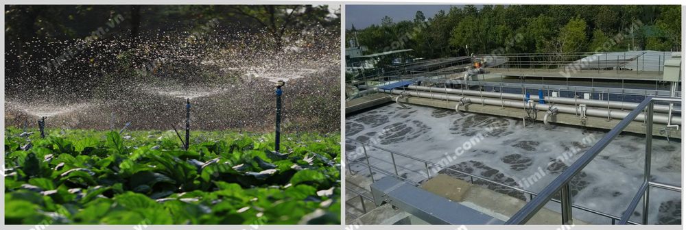 Đai khởi thủy 200 