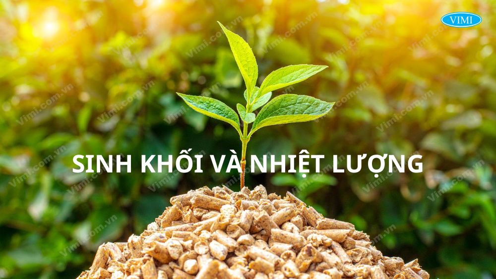 sinh khối và nhiệt lượng