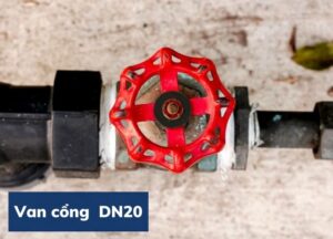 van cổng dn20