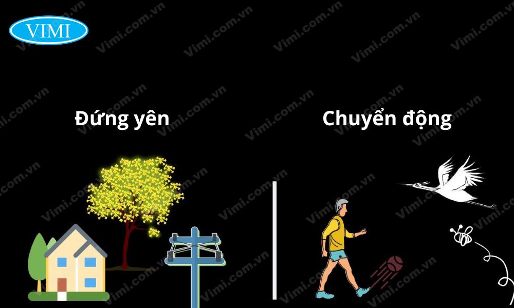 tại sao nói vật đang đứng yên