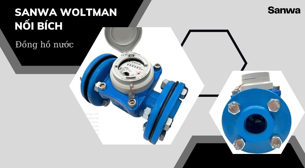 Sanwa Woltman nối bích 1. Thông số kĩ thuật