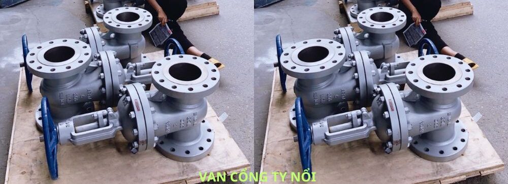 van cổng ty nổi mặt bích