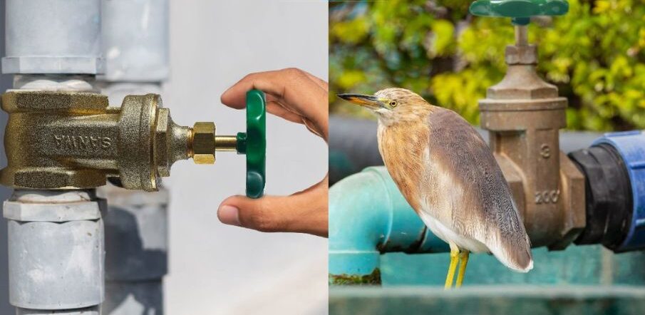 ứng dụng van cửa đồng