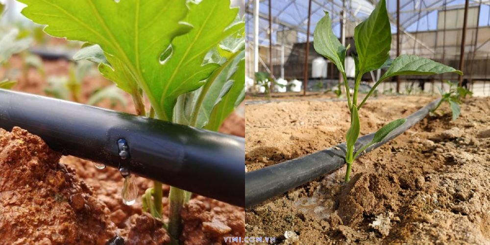 nhua ppr la gi 105 9