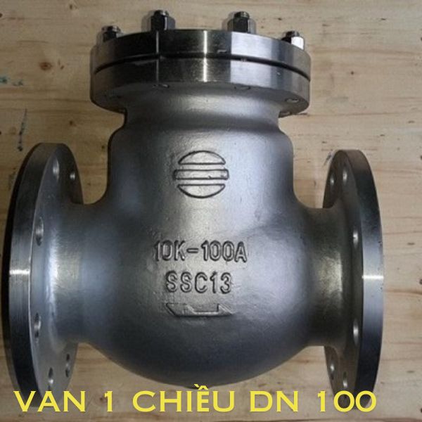 Van 1 chiều DN100