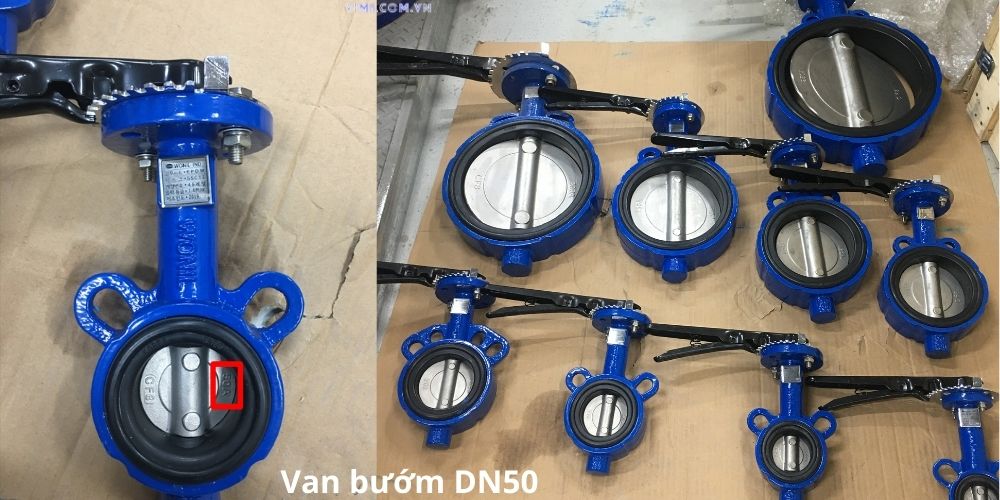 Van bướm DN50 là gì - Chuyên gia chia sẻ kết nối van bướm dn50